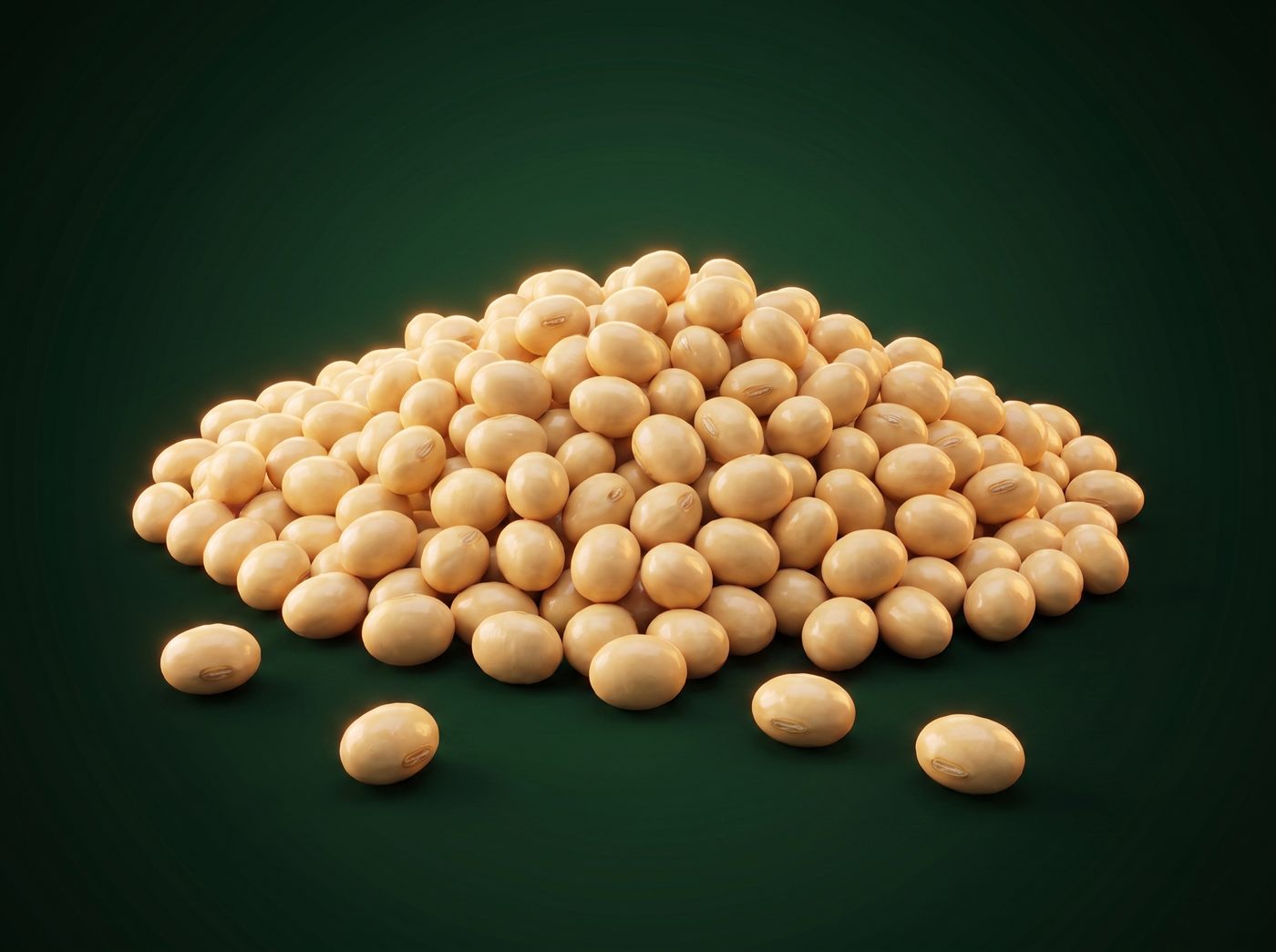 Grano de Soya